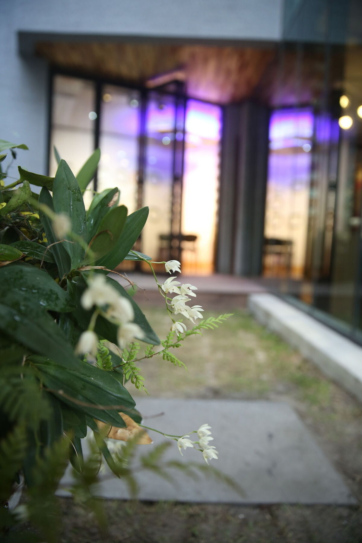 Sogondak House Villa Jeju Bagian luar foto